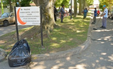 Personal Municipal realiz&oacute; tareas de embellecimiento en parterres de Bv. Lavalle