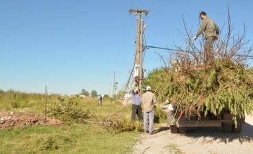 Sigue adelante el Programa Municipal &ldquo;Mantenimiento Integral en Barrios&rdquo;