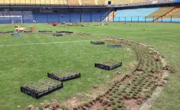 Obras en la Bombonera: Ya recuper&oacute; parte del c&eacute;sped