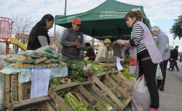 Nueva venta directa al consumidor de Productores Locales