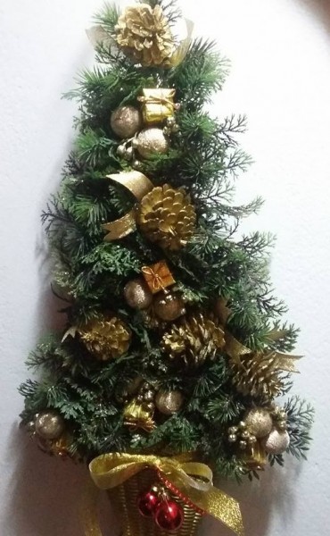 Hoy 8 de Diciembre armamos nuestro Arbol de Navidad