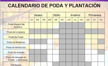 En enero entrar&aacute; en vigencia una nueva Ordenanza Municipal para el arbolado p&uacute;blico urbano