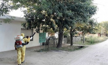 Siguen las tareas de fumigaci&oacute;n contra las &ldquo;gatas peludas&rdquo; 