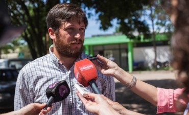 Aclaran que no son vinchucas los insectos aparecidos