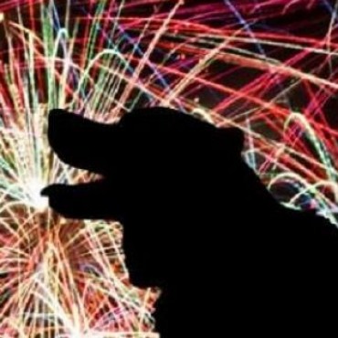 Fiestas de fin de a&ntilde;o Pirotecnia: la necesidad de un cambio