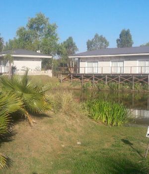 Allanan empresas y terrenos vinculados a Scioli