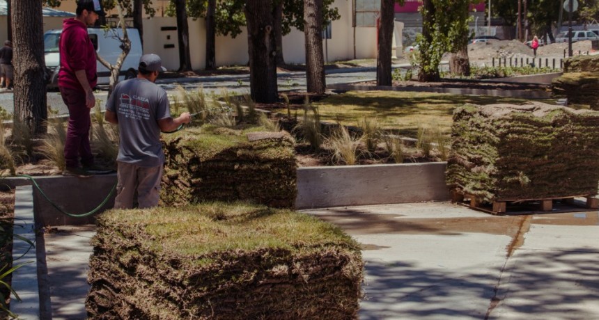 Nueva Costanera: se completó el parquizado de los canteros del estacionamiento
