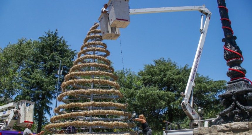 Mañana se enciende el arbolito de Navidad en la plaza Eduardo Costa 