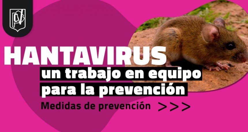 Hantavirus: un trabajo en equipo para la prevención