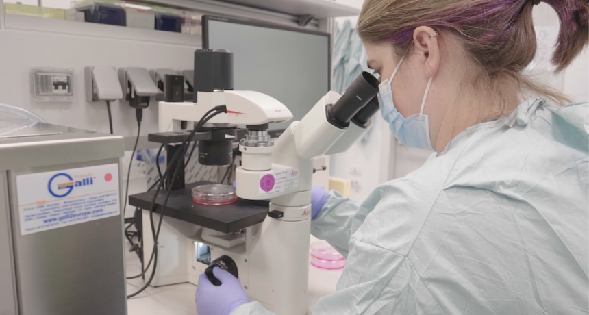 7 vacunas anti-Covid en 3 Continentes: una investigación internacional compara respuestas de anticuerpos