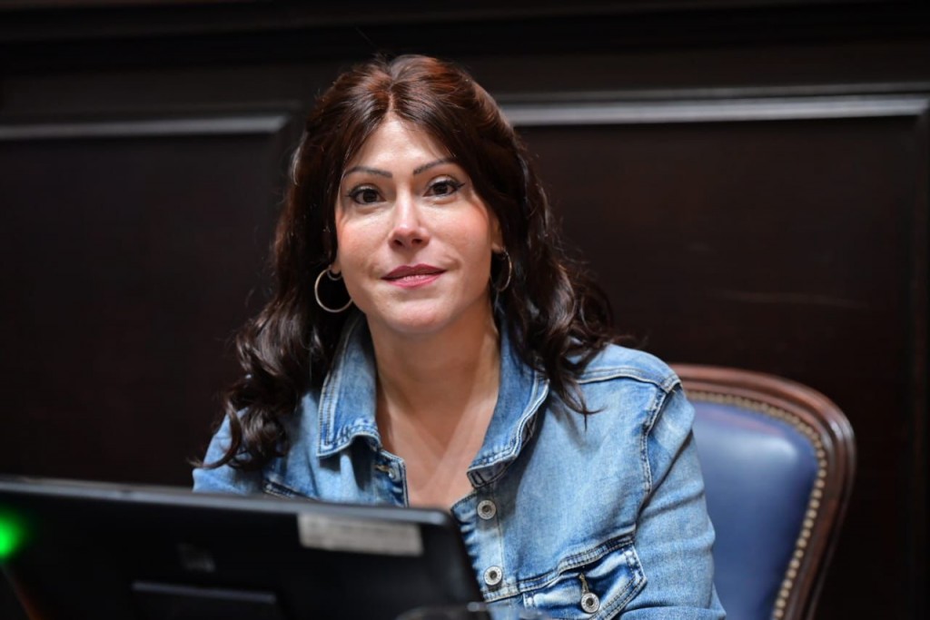 Soledad Alonso cerró el año entre los cinco diputados que mayor actividad tuvieron en la legislatura provincial