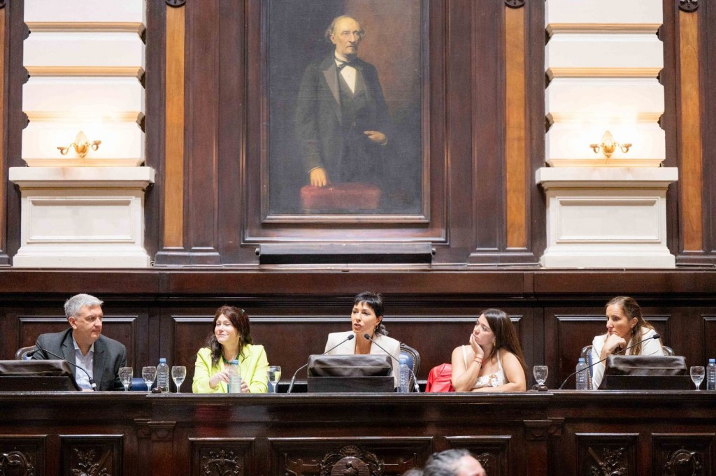 Soledad Alonso participó del Primer Parlamento Bonaerense de la Discapacidad en la Cámara de Diputados de la Provincia de Buenos Aires