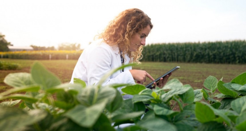 La digitalización redefine la rentabilidad del agro: Agrospot impulsa un nuevo modelo comercial para productores y compradores